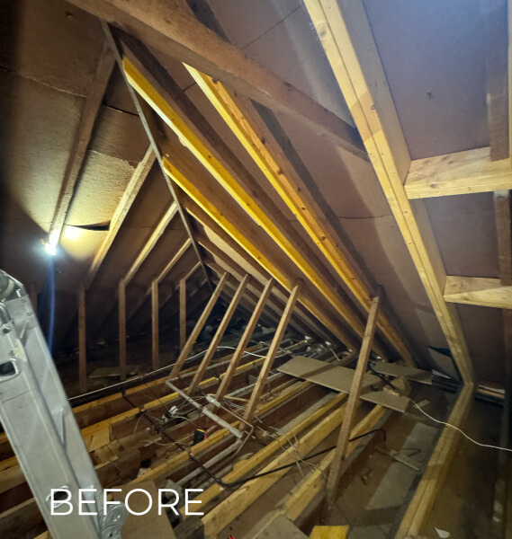 Loft Before Conversion